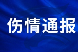 极速世界杯土耳其vs美国直播高清流畅_极速世界杯土耳其vs美国直播高清流畅在线观看_免费看直播