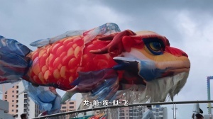 极速荷兰vs瑞典赛程表比分预测_极速荷兰vs瑞典赛程表比分预测在线观看_免费看直播
